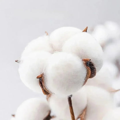 2025 Summer Men's T-shirt 3D Printed Round Neck Top Fashionable Women's Trendy T-shirt Quick Drying Loose Breathable