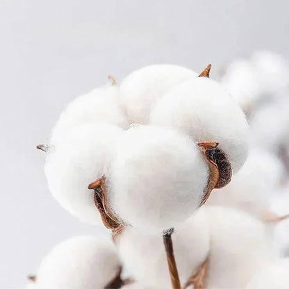 Men's and Women's Unisex T-shirt Summer Trendy Brand Cotton Short-sleeved Spring Autumn Luxury Brand Casual Design Sense Top